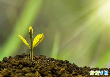小学生植树节心情说说 植树节美好的短句