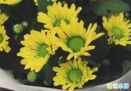清明节纪念先烈的短句
