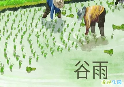 谷雨温暖祝福语 关于谷雨的祝福短句