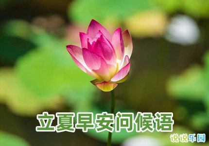立夏早安问候语