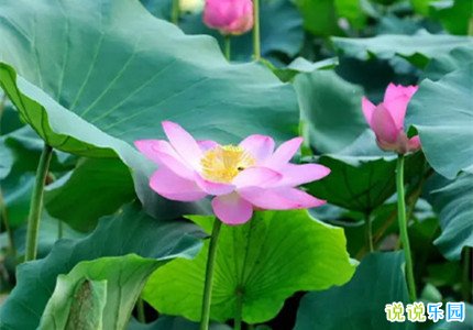 2022朋友圈小满文案