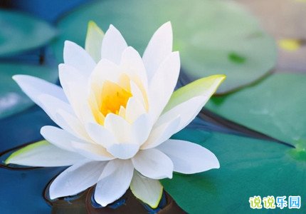 今天是小满的说说 关于小满的句子精选