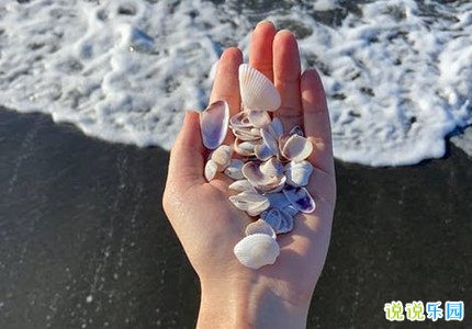 容易上热门的优雅文案短句