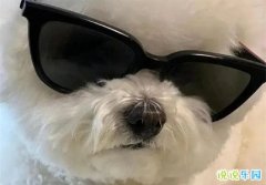 �ʺϷ���̬����Ĭ��Ȥ�ľ���