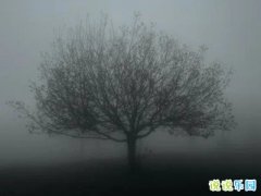 ����Խ��Խ����˵˵