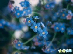 令人着迷的句子精选30个