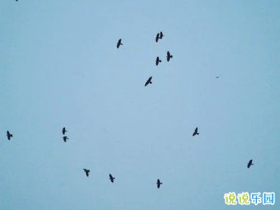 丧系句子短句干净精选26句