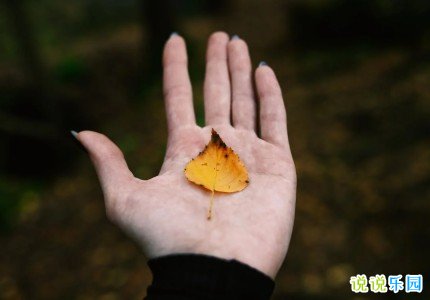 写给自己的干净温柔文案