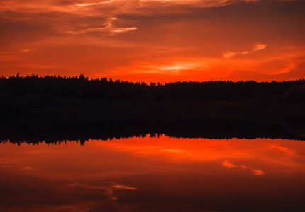 2025Ů