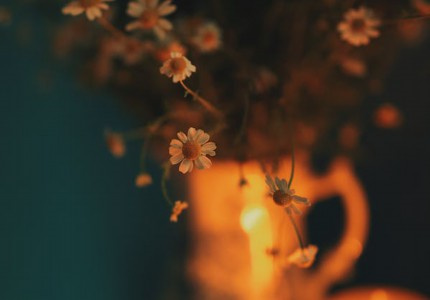 ΢������Ů�����ʵ���Ψ��