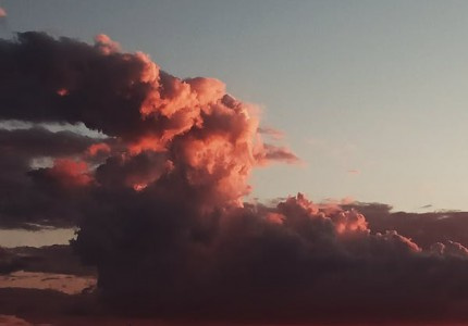 2025��һ�޶�����id