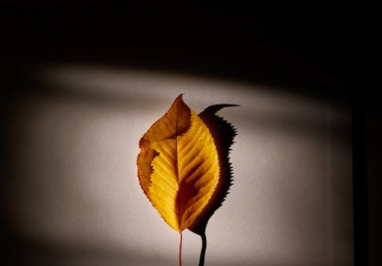 ��Լ������������ǳ�