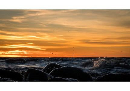 �Լ���Ϸ��������ר��